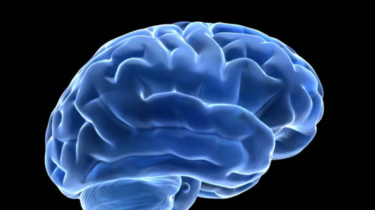 Feeling mentally exhausted? Brain areas that control whether people give up or persevere have been identified.