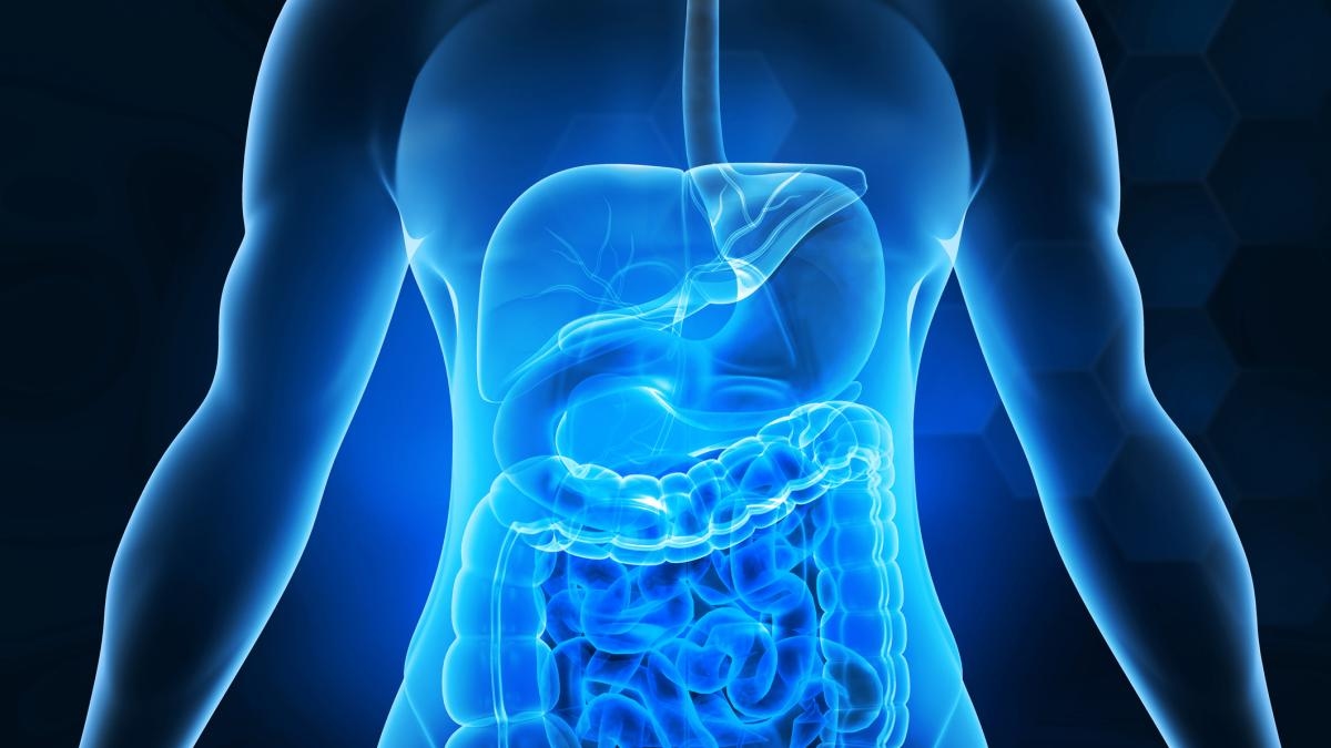 Il trapianto di microbiota fecale fa bene? La ricerca mette in guardia dai potenziali rischi
