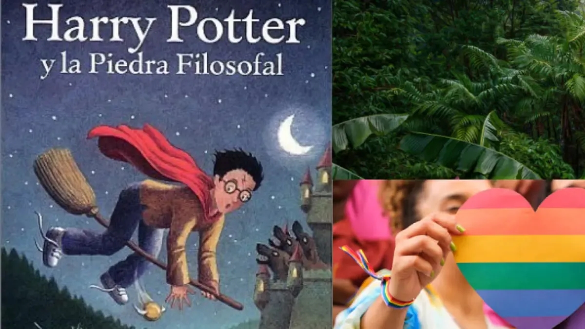 On a day like today! The anniversary of the beginning of Harry Potter and other historical events around the world