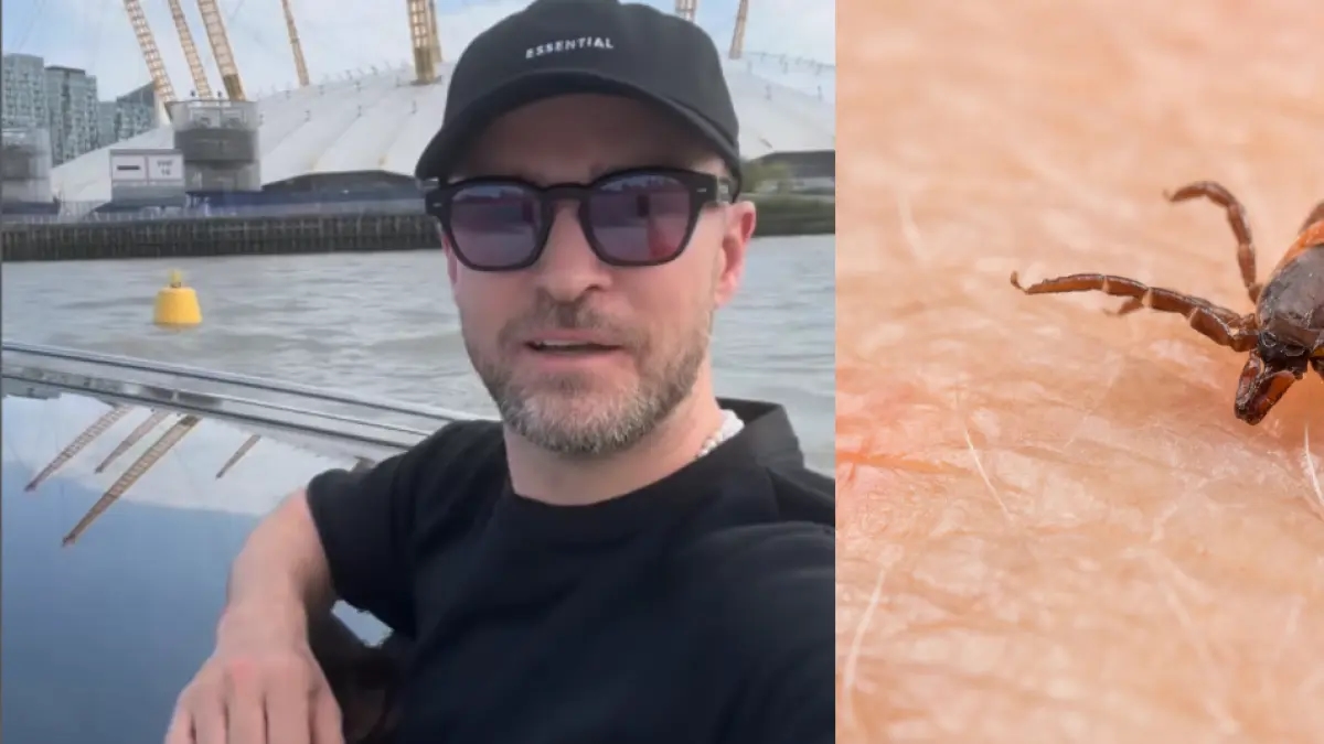 O que é a doença de Lyme, com a qual o cantor Justin Timberlake e outros artistas foram diagnosticados? É causada por um carrapato.