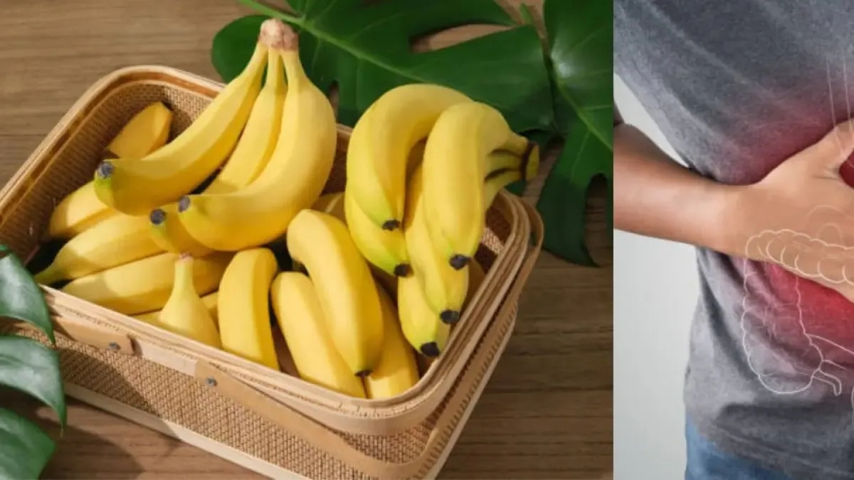 Comer bananas traz grandes benefícios para a constipação e saúde intestinal.