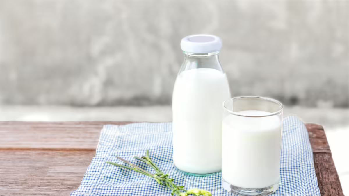 At what time of day should you drink milk so that it doesn't cause harm?