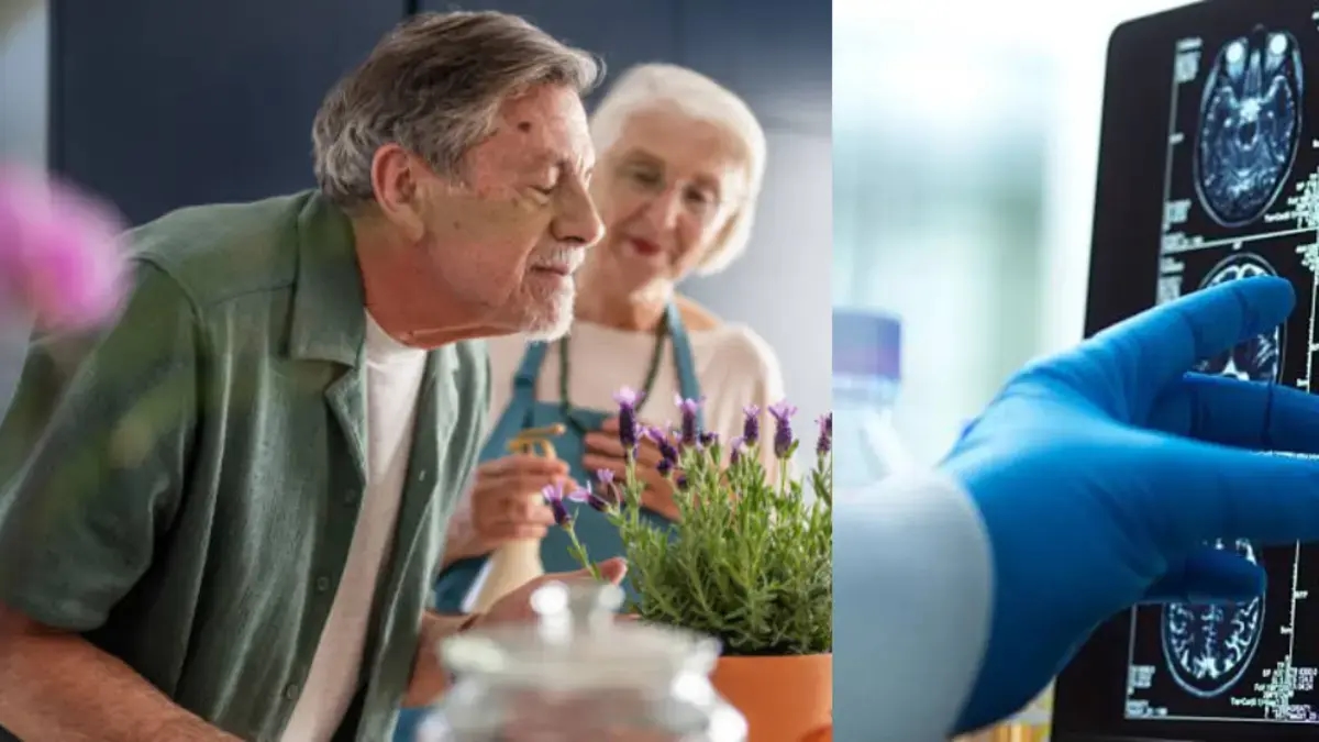 L'Alzheimer ha un odore? Un nuovo studio collega l'olfatto alle fasi iniziali di questa malattia che compromette la memoria.