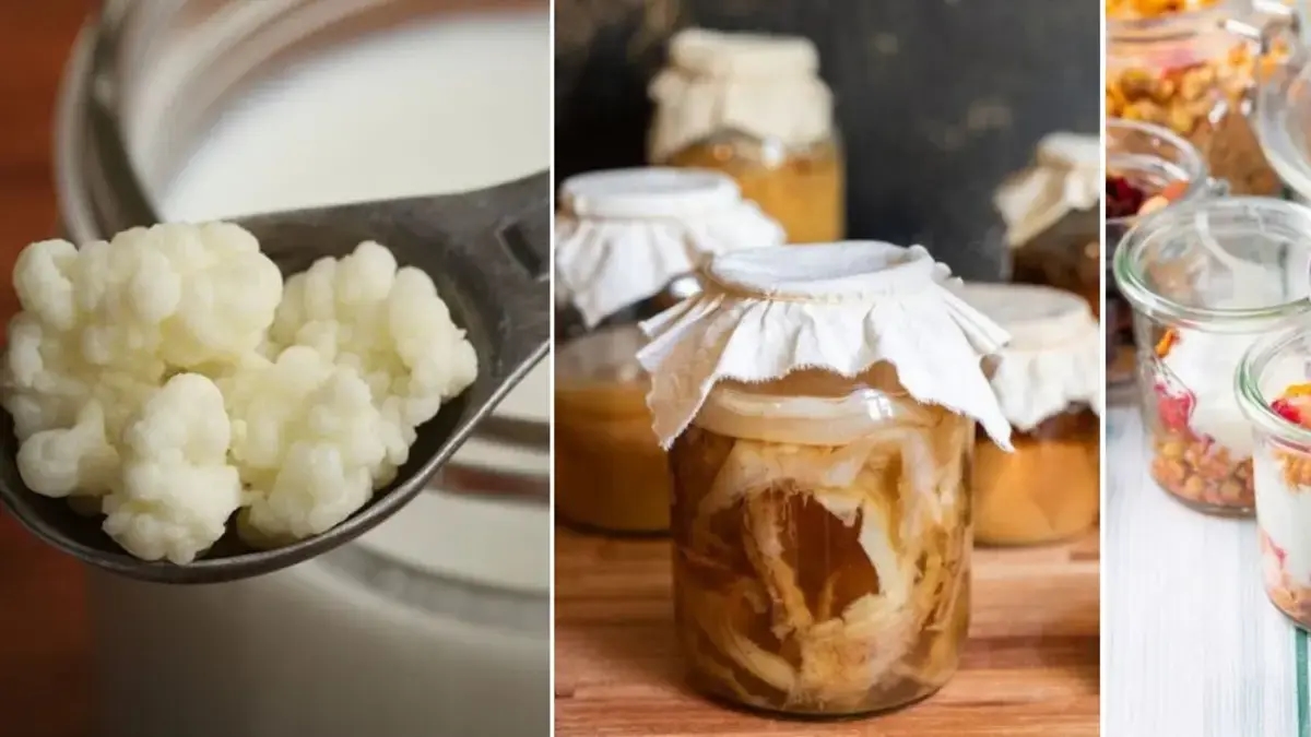 Kefir, Kombucha oder Joghurt: Unterschiede, Vorteile, Eigenschaften und der beste Zeitpunkt für den Verzehr