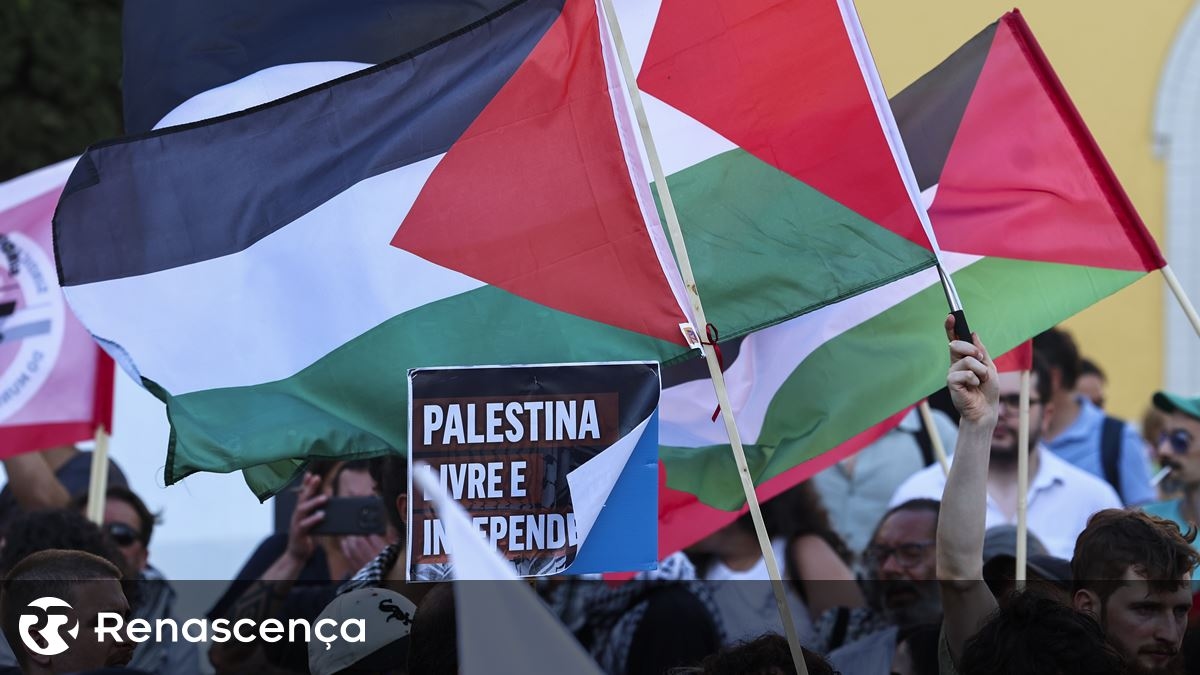 Government to hear from Marcelo and political parties about recognition of Palestine