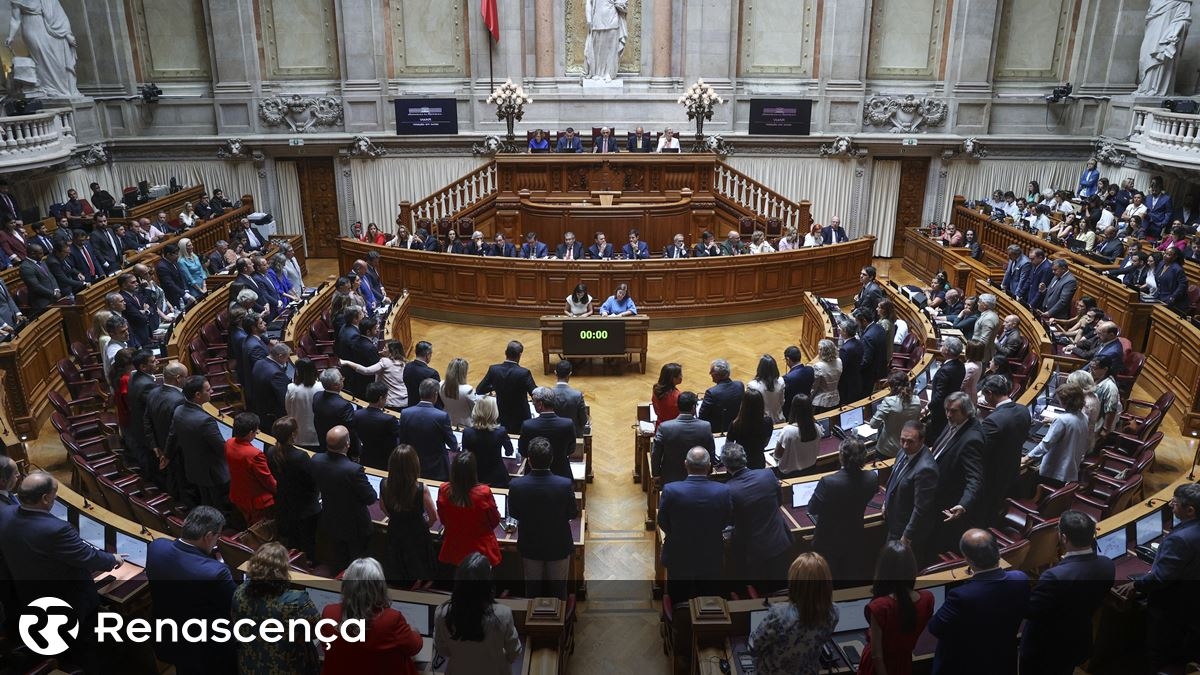 "Pegada legislativa". Lobbying em Portugal volta ao Parlamento