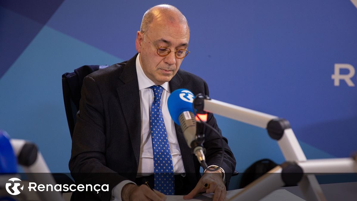 I costituzionalisti divisi sulla revoca della cittadinanza per reati gravi