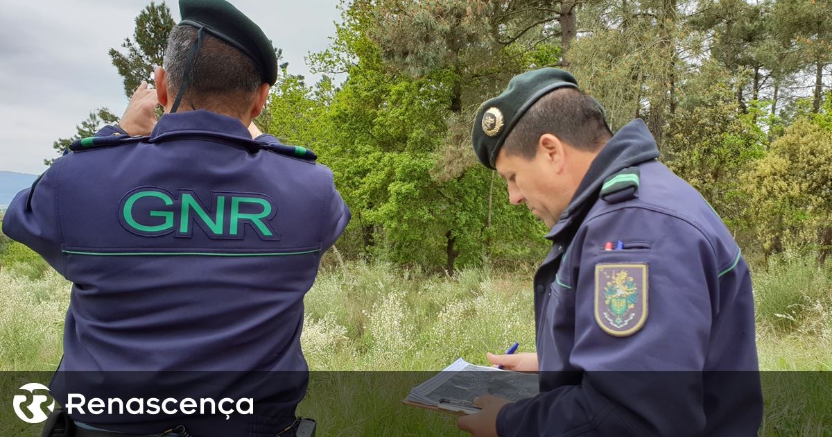 GNR reinforces forest fire surveillance