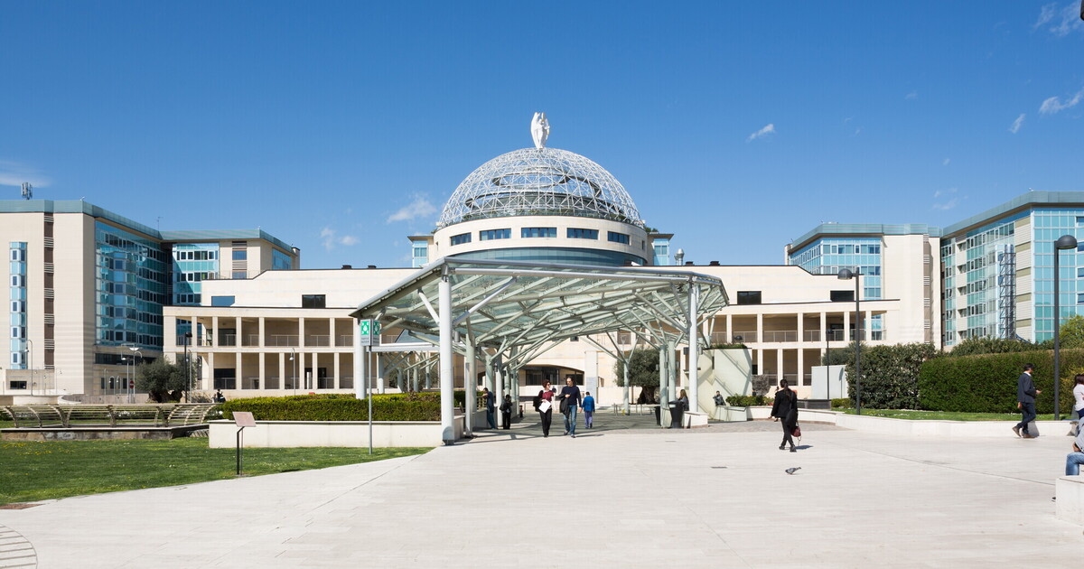 It's called S-Race, at San Raffaele the AI ​​on clinical data is already a reality