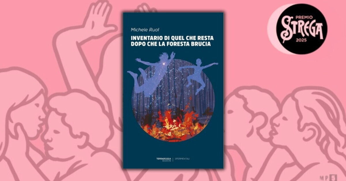 Carotaggio Strega: il romanzo in 99 oggetti di Michele Ruol