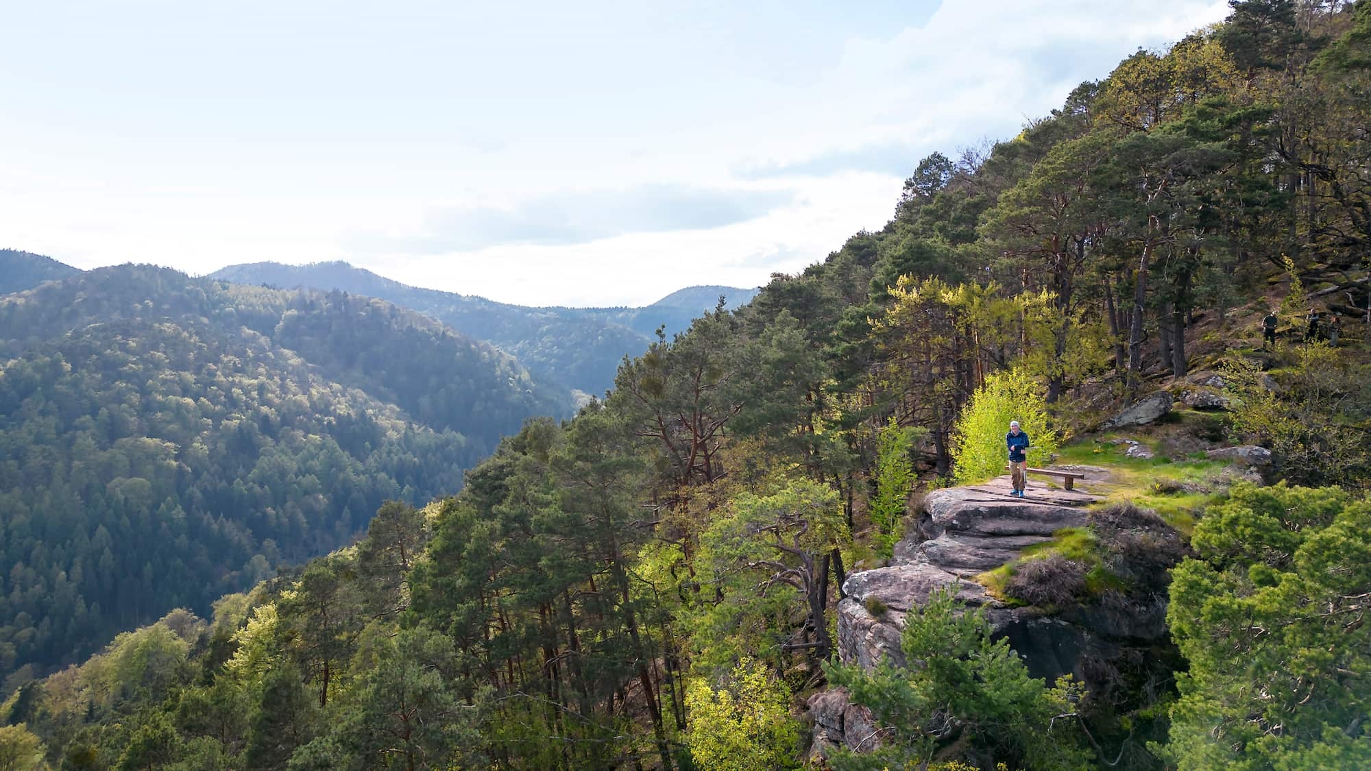 Castillos, vino y vistas panorámicas: estas 10 rutas de senderismo en Renania-Palatinado son imprescindibles