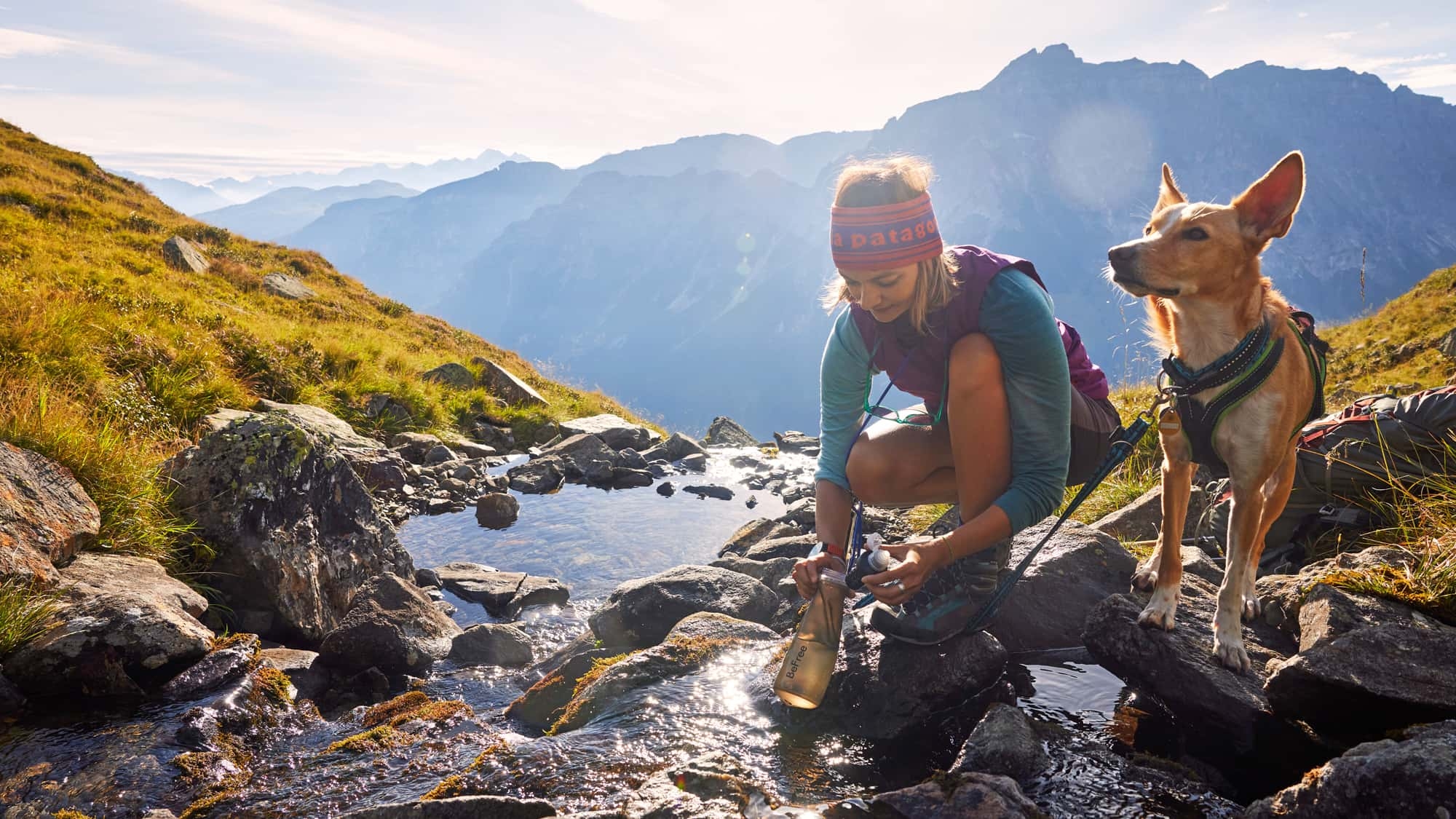 Alpine Crossing: Monaco - Verona: attraversare le Alpi con il tuo cane