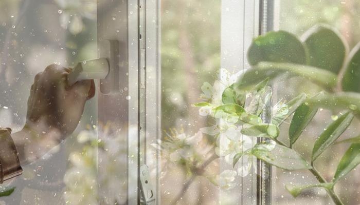 Open ramen in de lente zijn gevaarlijk! Pas op voor pollenallergie! Deskundigen waarschuwen: "Allergie moet niet worden verward met infectie"