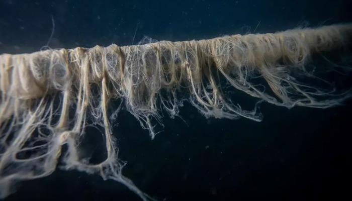 Au lieu de refroidir, ça brûle... Des microbes nagent le long de nos côtes méditerranéennes : Ceux qui entrent dans la mer s'échappent et ressortent !