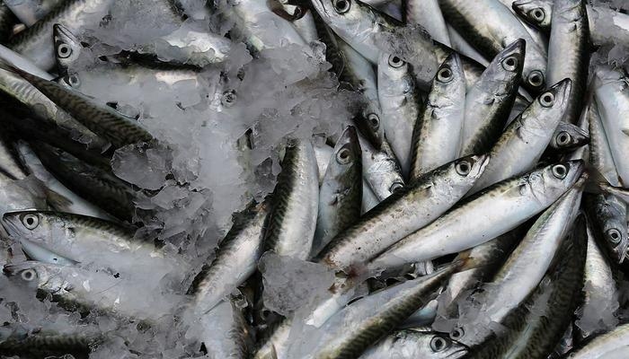 Вкус, замедляющий старение: сардина! Вкусовое наследие северных Эгейских островов, натуральная поддержка здоровья кожи, волос и ногтей...