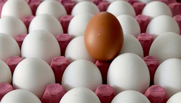 Emesso allarme epidemia: un uovo ha avvelenato 95 persone! Allarme diramato in quella regione...