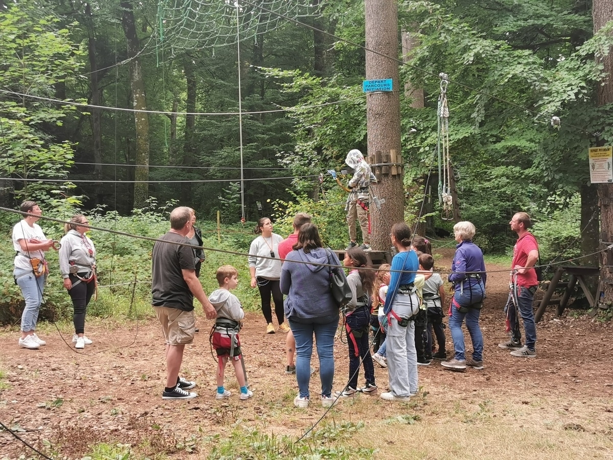 Treetop adventure for little marmosets