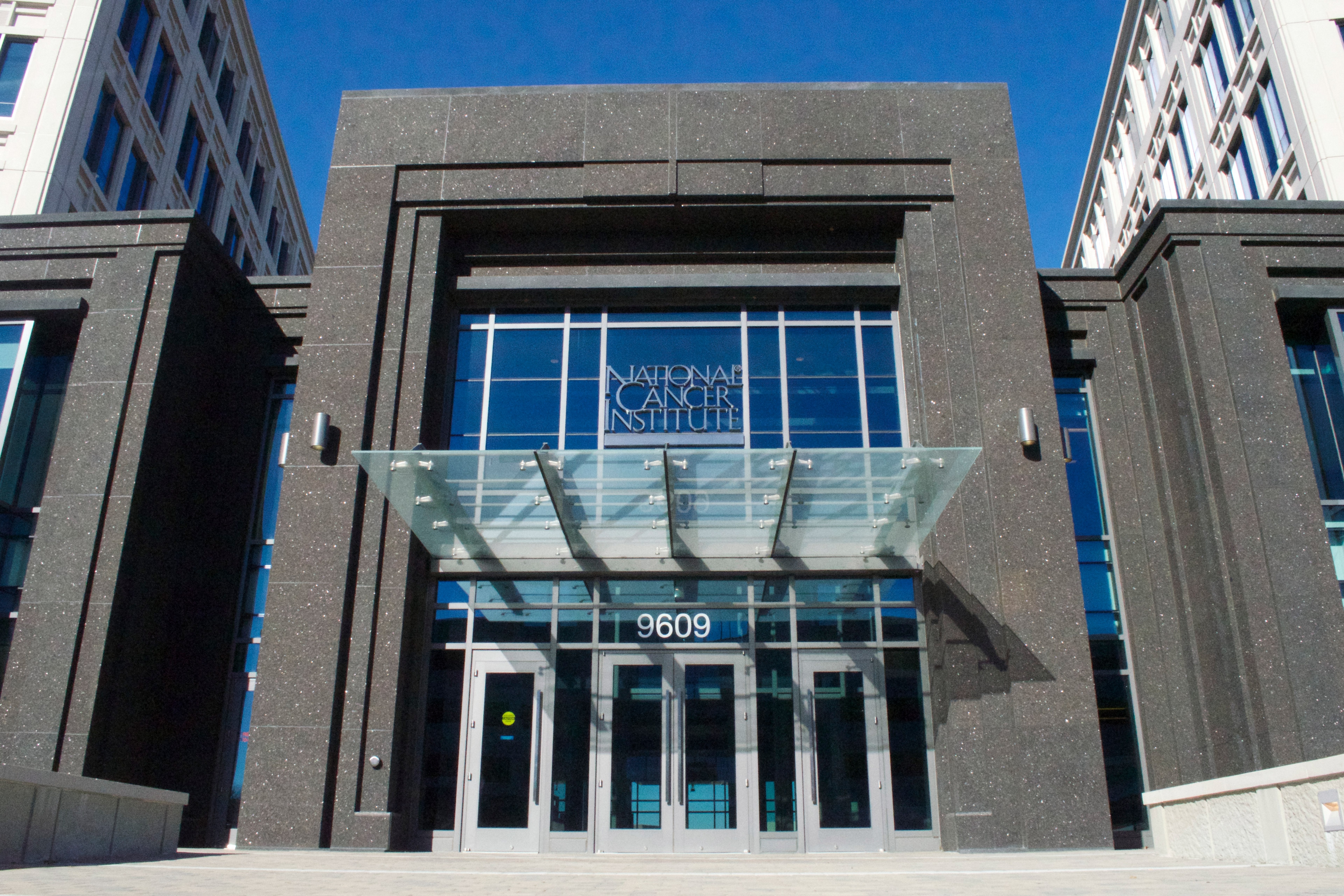 Listen: Some Scientists Speak Out on Deep Cuts to National Cancer Institute, While Others Flee