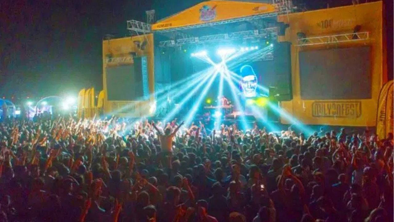When does the 2025 Zeytinli Rock Festival start? Where will the Zeytinli Rock Festival be held? Which artists will perform at the 2025 Zeytinli Rock Festival?