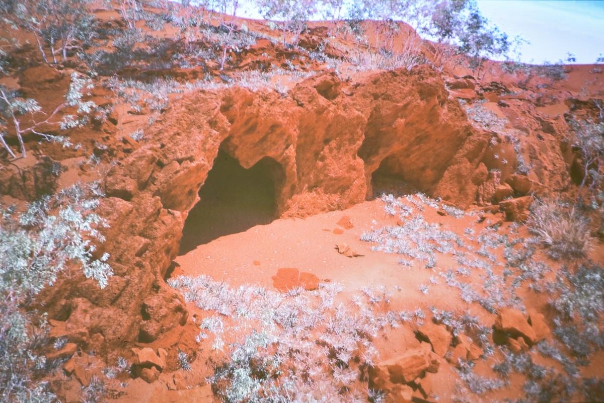 Dordogne'daki Lascaux'da bir mağaranın yeniden inşası için ziyarette bulunan bir grup Avustralyalı Aborjin
