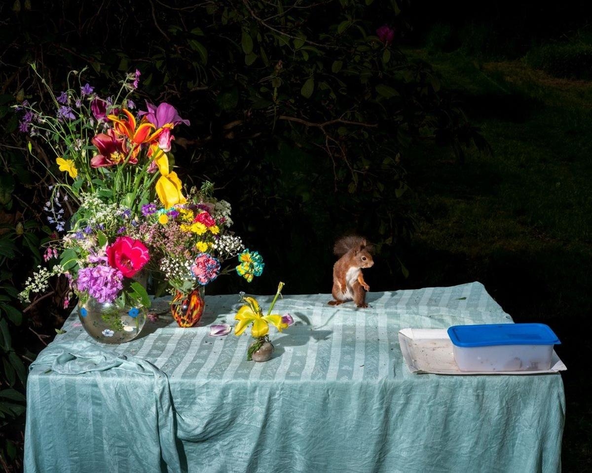 Bordéus: Animais sentam-se à mesa sob o olhar da fotógrafa Lia Darjes