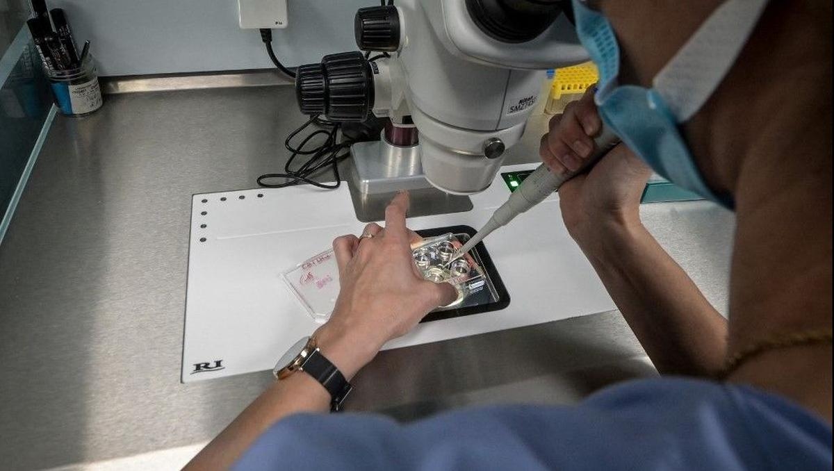 Birth rate: French government plans to open 30 new egg conservation centers