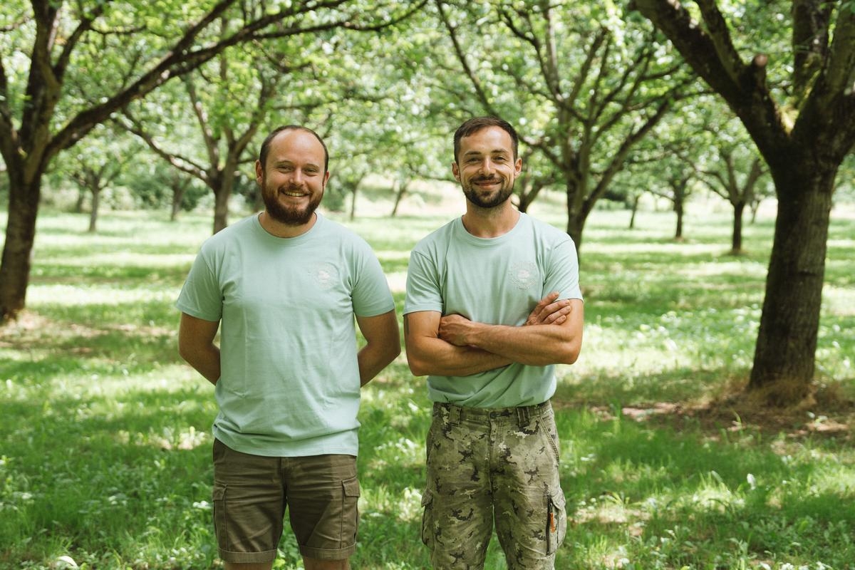 Depois das trufas e do ganso, as nozes agora têm seu próprio dia de celebração em Sarlat.