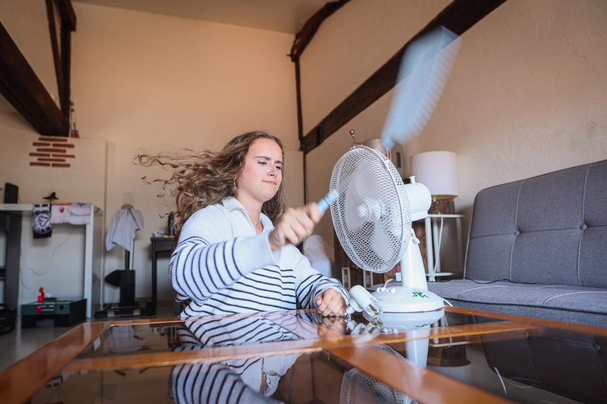 Agen: if we could send the tiger mosquito to lay its eggs elsewhere