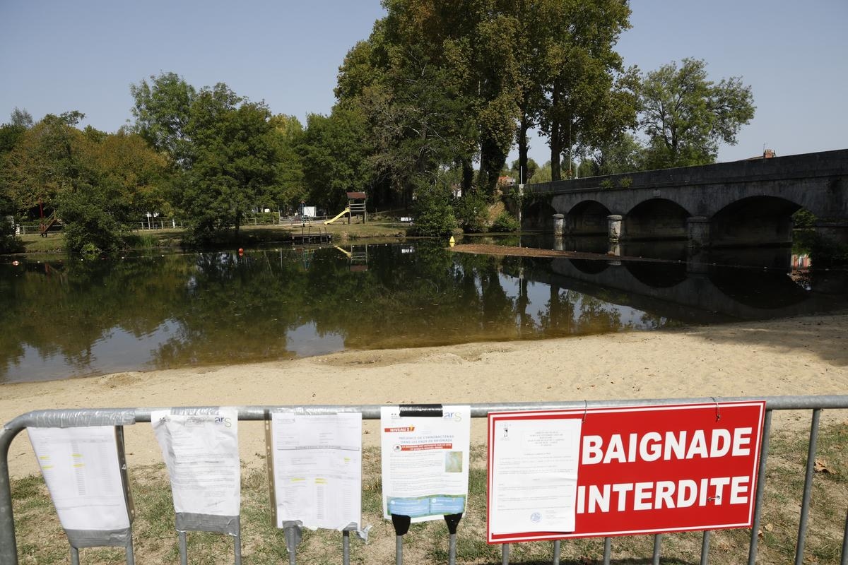 "If it continues like this, the campsite will close": cyanobacteria, the poison of summer in this corner of the Dordogne