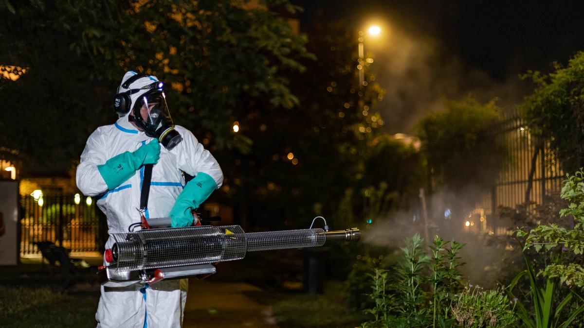 Chikungunya w Bergerac: nowa operacja zwalczania komarów zaplanowana na dzisiejszy wieczór