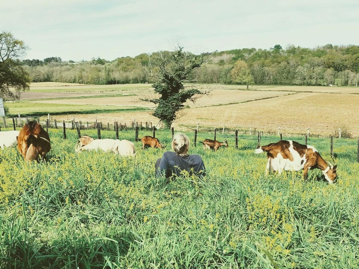 “Una experiencia humana gratificante y muy enriquecedora”: wwoofing, otra forma de descubrir las Landas y sus agricultores