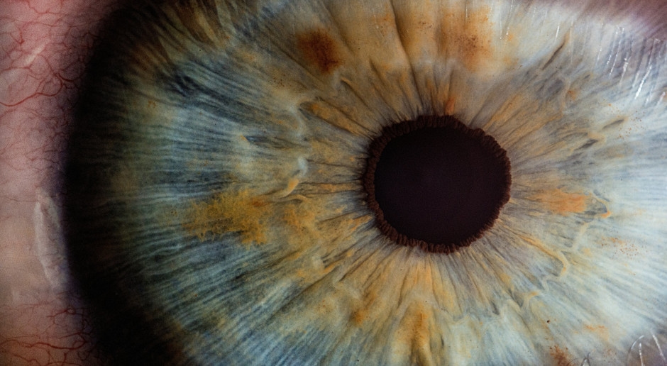 Does Your Eye Color Reveal Your Intelligence Level? This Theory Fascinates Many Experts