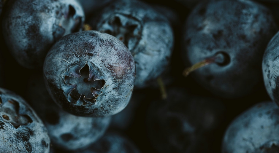 Deze zomerfruitsoorten bevorderen een lang leven. Eet ze zonder schuldgevoel.
