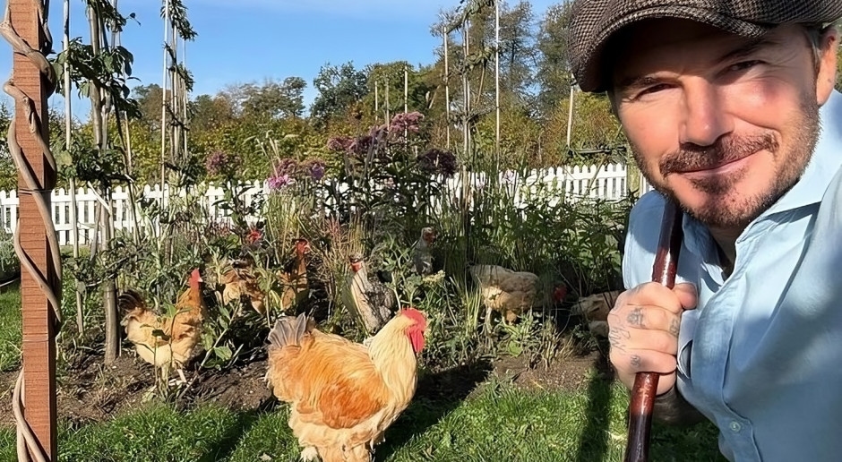 Api, galline e "carote paffute", ovvero come David - il giardiniere - Beckham ha fatto ridere fino alle lacrime Lady Victoria