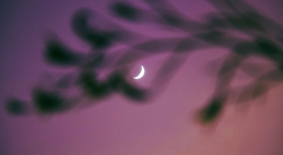 Heute Abend erwartet uns ein emotionales Erdbeben. Neumond im Krebs