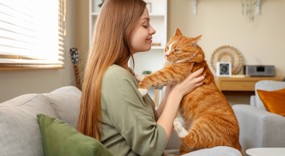 Se pondrá en marcha un registro especial para perros y gatos. Multas para propietarios de animales de hasta 5.000 PLN.