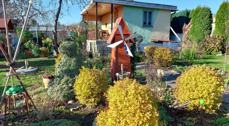 Owners may lose gardens. ROD Board may terminate lease agreement