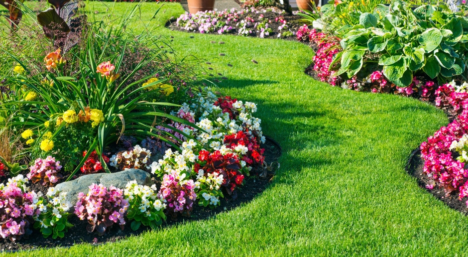 Het sterkste gif ter wereld. Het zit verstopt in een plant die Polen graag in hun tuin planten.