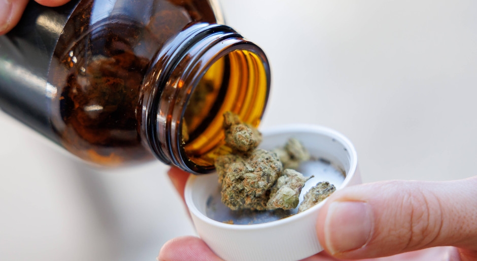Legal marijuana: cheaper than from a dealer, exotic flavors. We describe how the market is coping with restrictions.