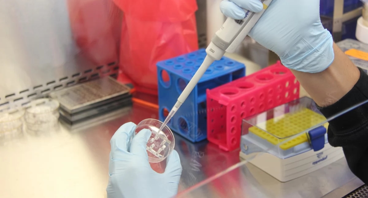 Genetics of drug-resistant epilepsy: New findings could change treatment for the disease