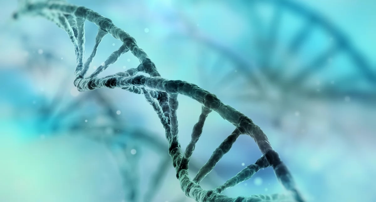 Polish scientists have made a breakthrough discovery that will help in the treatment of rare genetic diseases.