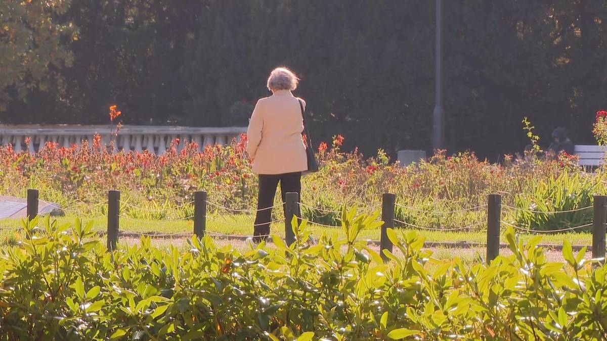 Grandes cambios en la psique de las personas mayores. Un experto explica qué ocurre en el cerebro en la vejez