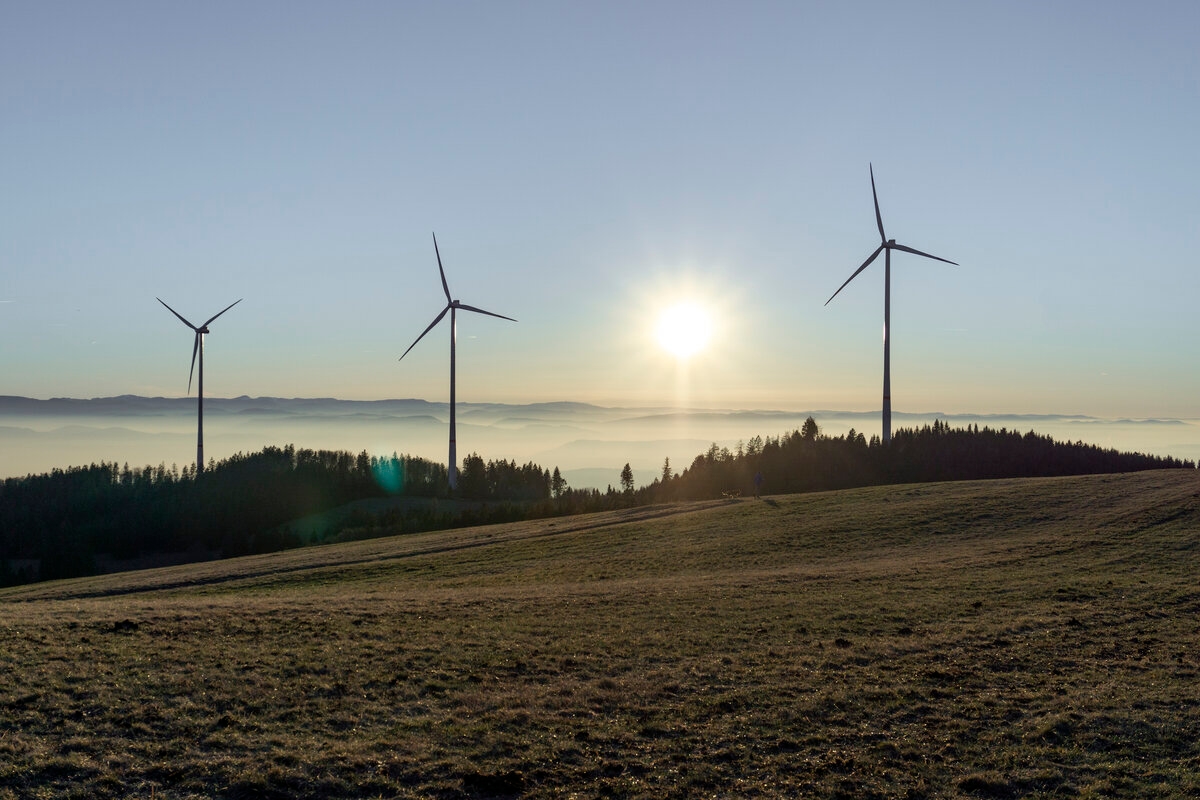 Obstáculos para la transición energética: la energía eólica en el suroeste a menudo fracasa debido a los costos