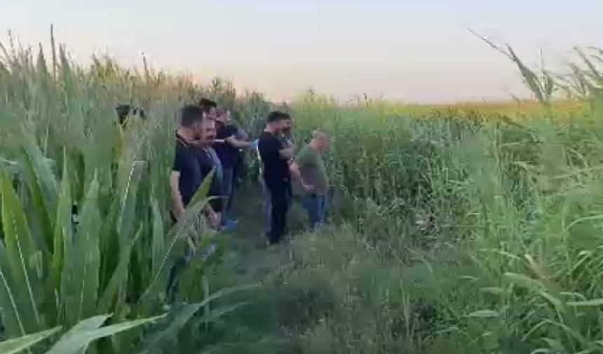 Adana'da, dere yatağında erkek cesedi bulundu