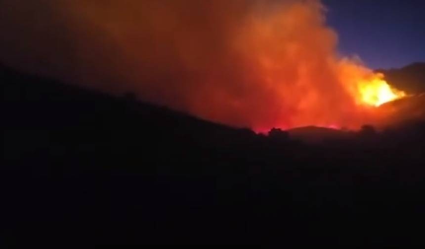 Forest fire in Elazığ