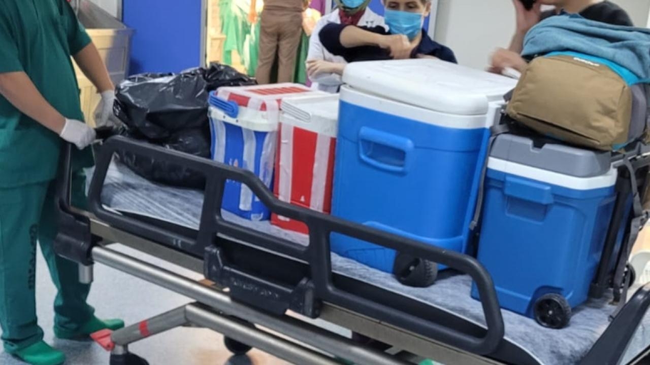 Les organes d'une personne en état de mort cérébrale apporteront de l'espoir à 4 patients