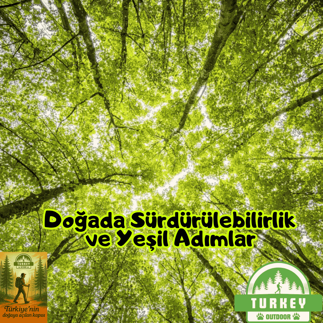 Sustentabilidade e Passos Verdes na Natureza