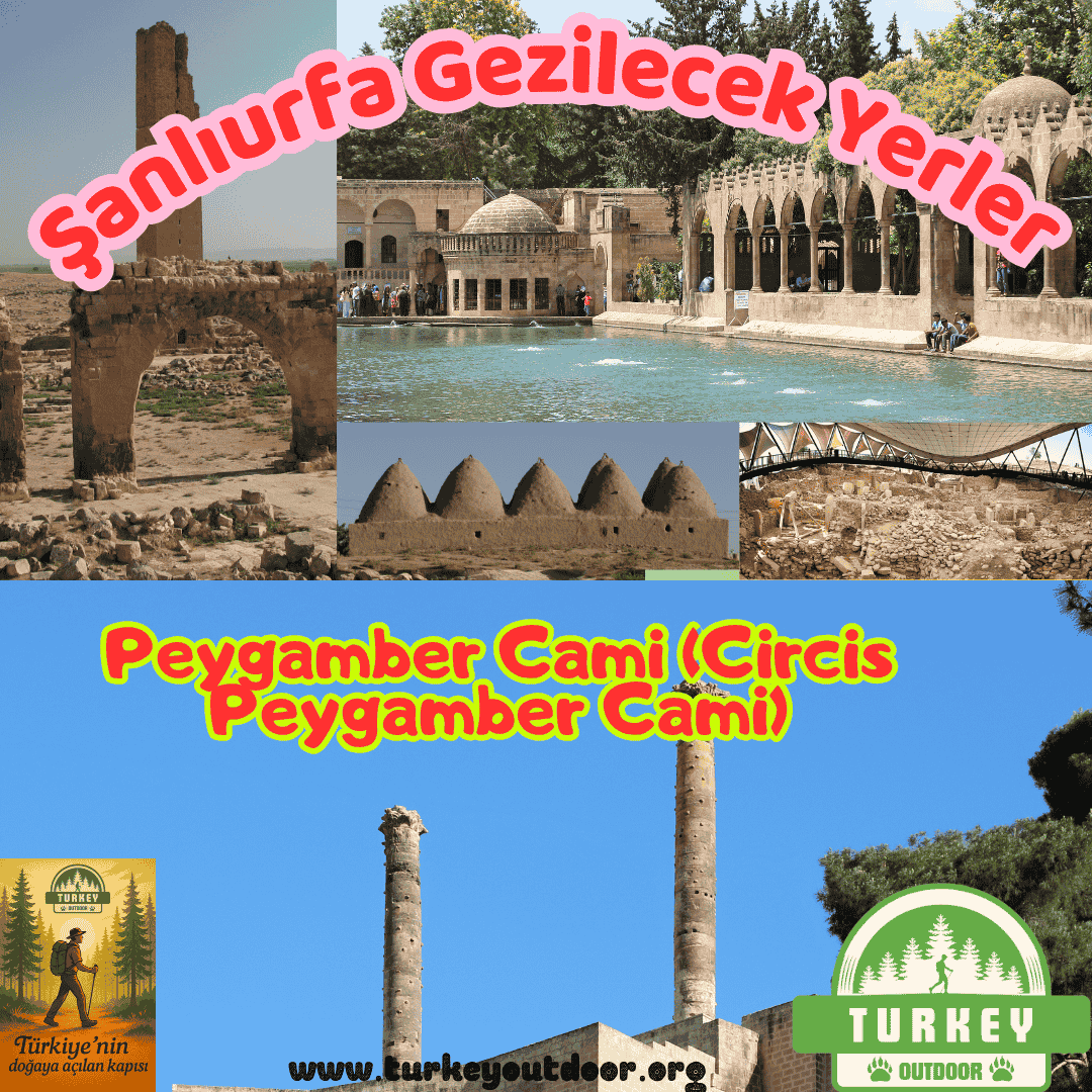 Mesquita do Profeta Şanlıurfa (Mesquita do Profeta Circis)