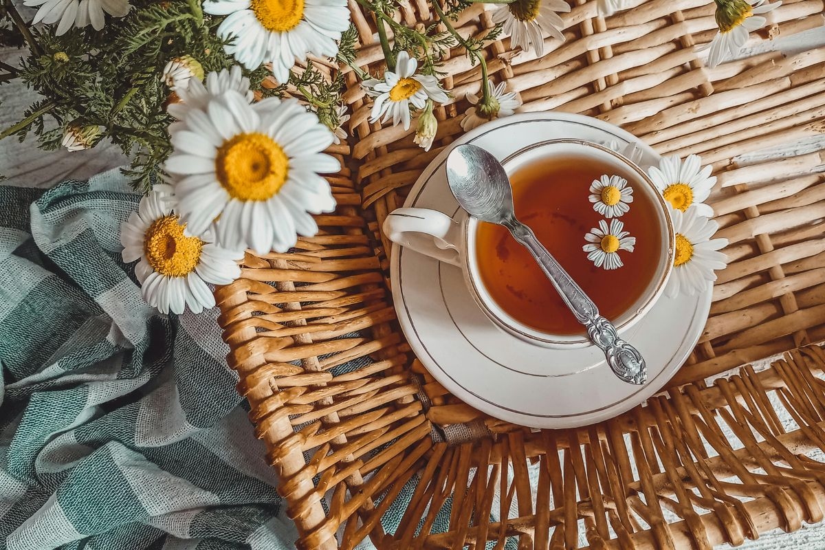 Chamomile tea: benefits, contraindications and ideal preparation