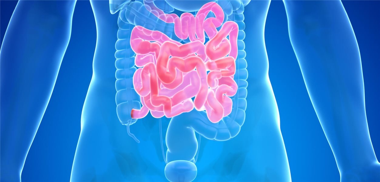 Case study: Meat bezoar leads to a rare form of intestinal obstruction